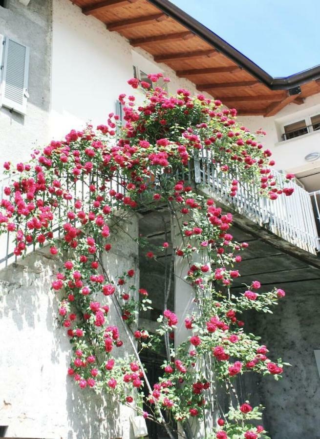 Il Cortile